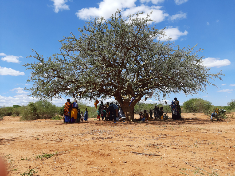 Medical help when needed most | Tanzania