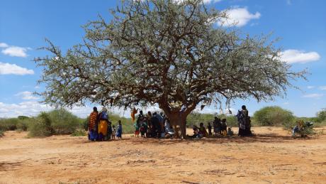 Villagers gathered under a tree in Tanzania