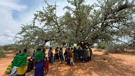 Clinic in motion under the acasia 