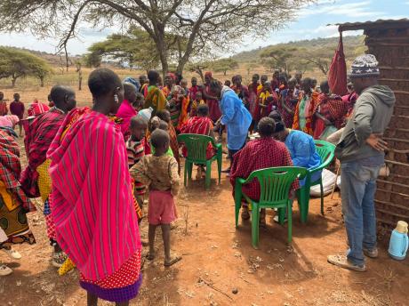 Nurses assess their patients under the shelter of a tree. 