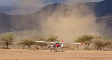 Malambo safari